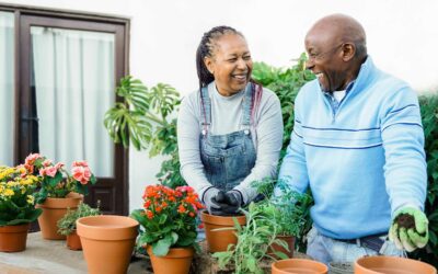Crafting, Gardening, and Creating: Turning Hobbies into Daily Joy
